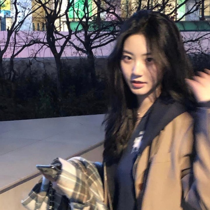 野良与皇女与流浪猫之心